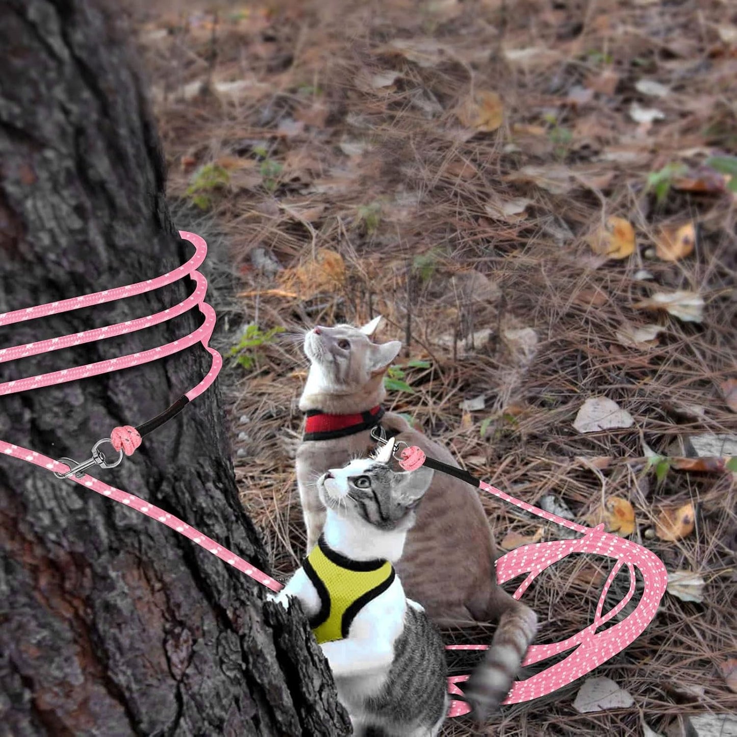 Reflective Cat Long Leash - 50 FT Escape Proof Walking Leads Yard Long Lead Durable Safe Personalized Extender Leash Traning Play Outdoor for Kitten, Puppy, Rabbit and Small Animals(Pink-L)