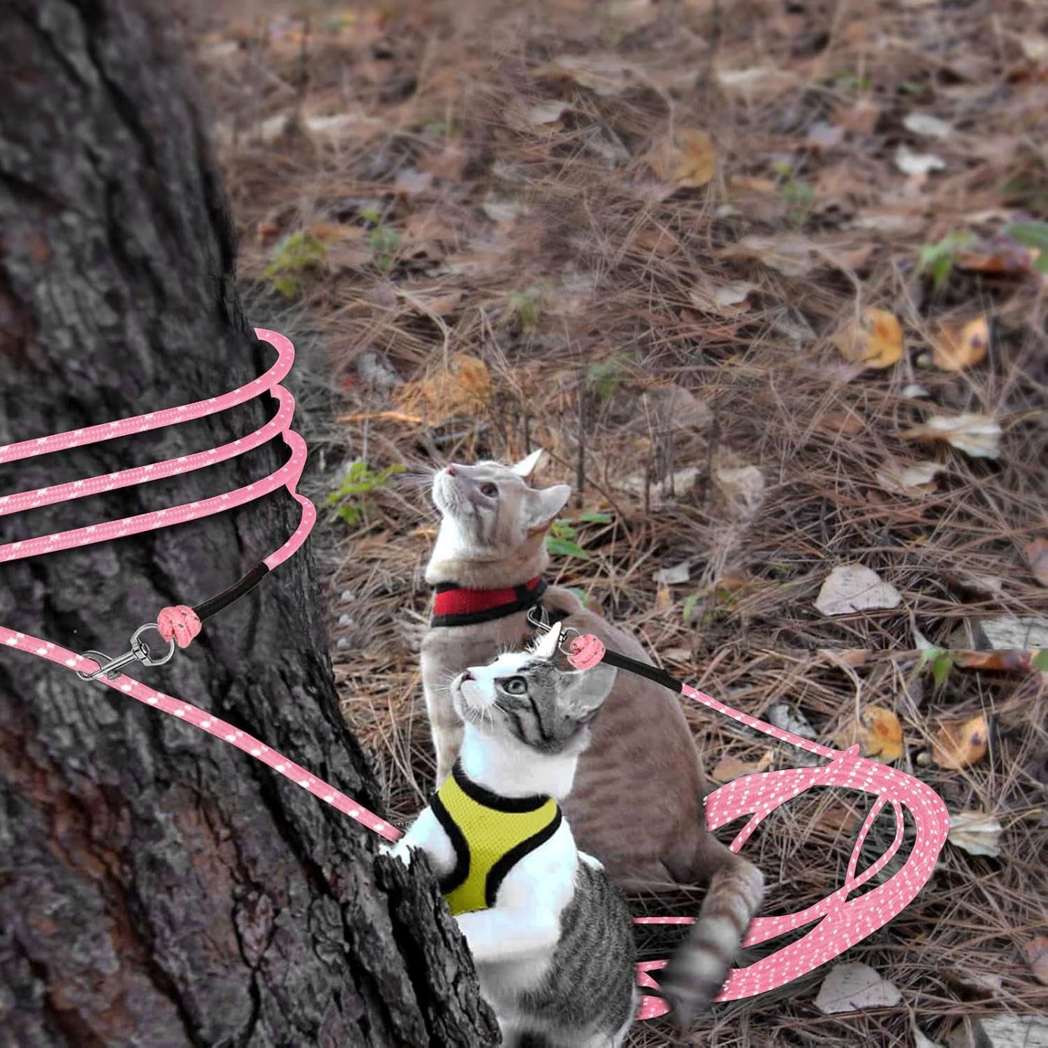 Reflective Cat Long Leash - 50 FT Escape Proof Walking Leads Yard Long Lead Durable Safe Personalized Extender Leash Traning Play Outdoor for Kitten, Puppy, Rabbit and Small Animals(Pink-L)