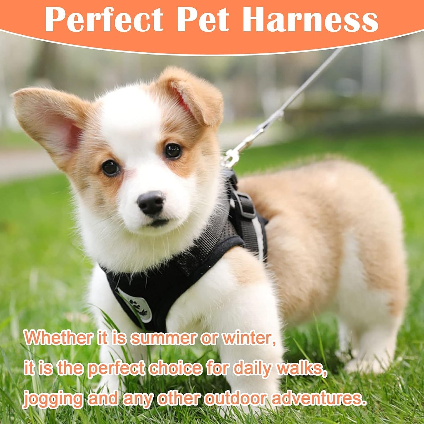 Cat Harness and Leash for Walking Escape Proof No Pull Dog Harnesses for Small Dogs Vest Adjustable Easy Control Kitten Harness and Leash Reflective Breathable Cat Leash and Harness Set (Black, XS)