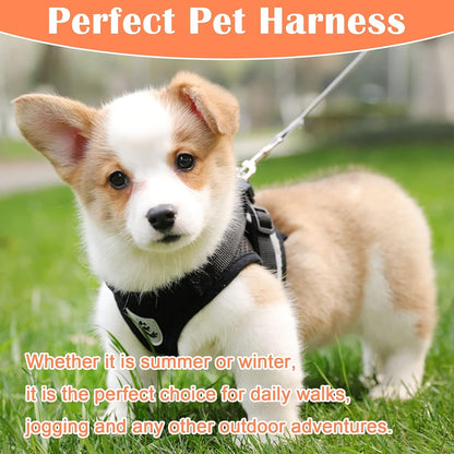 Cat Harness and Leash for Walking Escape Proof No Pull Dog Harnesses for Small Dogs Vest Adjustable Easy Control Kitten Harness and Leash Reflective Breathable Cat Leash and Harness Set (Black, XS)