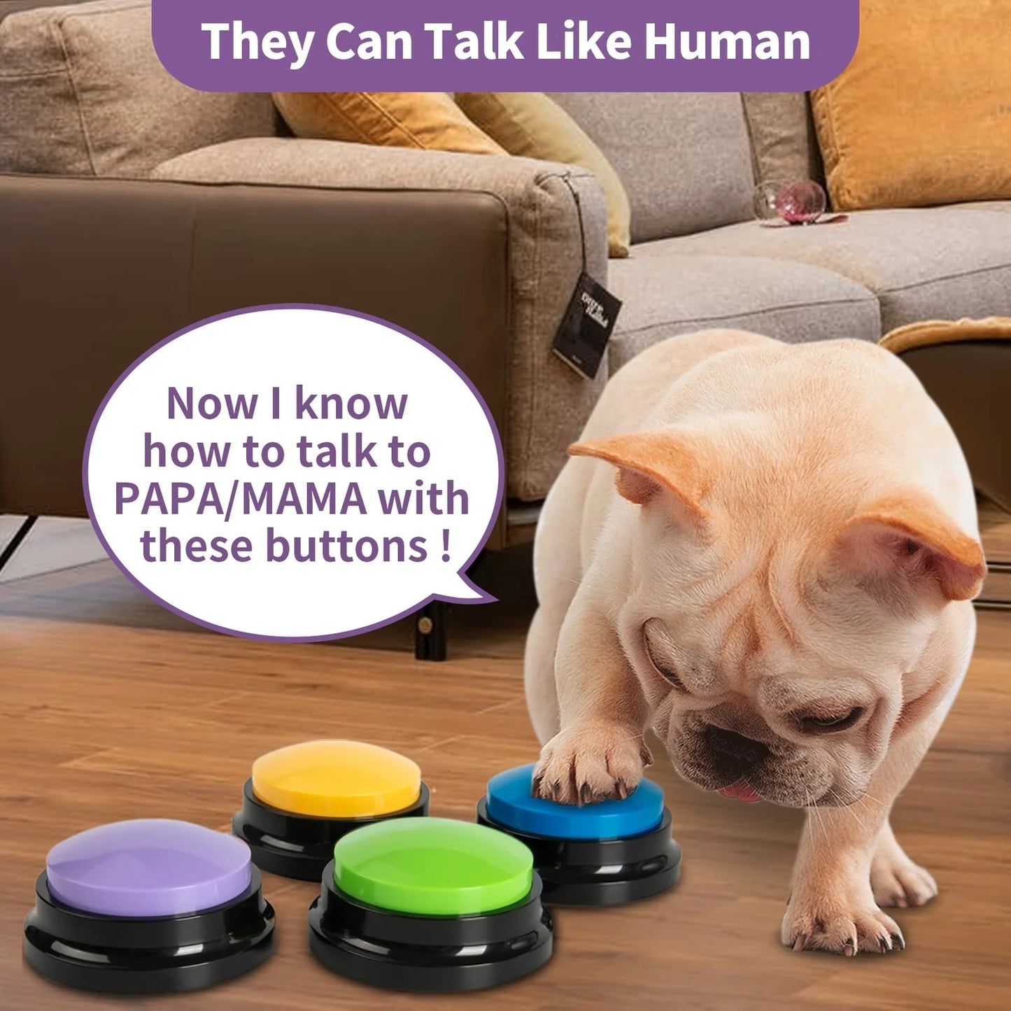Recordable Pet Starter Talking Speaking Buttons Dog Training Communication Toys Interactive Toys for Cat Dog 4PCS