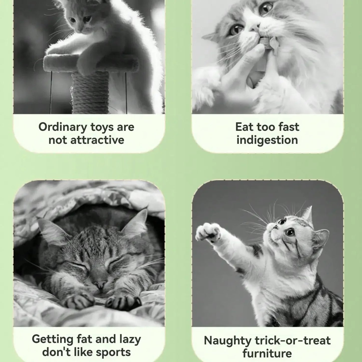 Solid Color Planet Digging Holes and Leaking Food Educational Toys Cat Snack Dispenser Interactive Cat and Dog Toyscutecatsticks