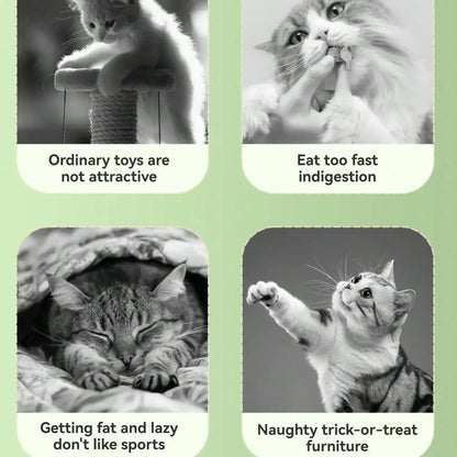 Solid Color Planet Digging Holes and Leaking Food Educational Toys Cat Snack Dispenser Interactive Cat and Dog Toyscutecatsticks