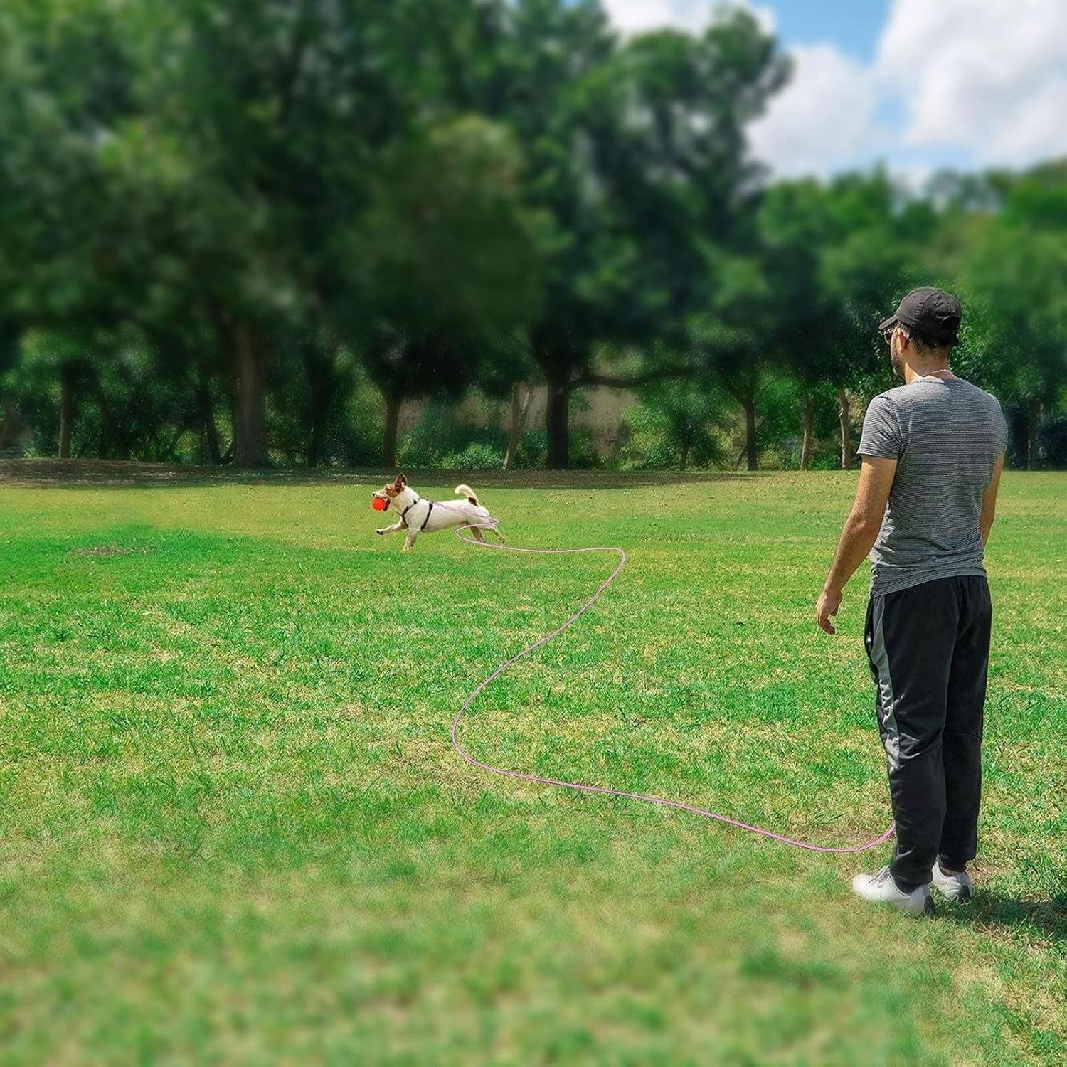 Reflective Cat Long Leash - 50 FT Escape Proof Walking Leads Yard Long Lead Durable Safe Personalized Extender Leash Traning Play Outdoor for Kitten, Puppy, Rabbit and Small Animals(Pink-L)