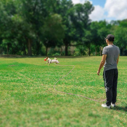 Reflective Cat Long Leash - 50 FT Escape Proof Walking Leads Yard Long Lead Durable Safe Personalized Extender Leash Traning Play Outdoor for Kitten, Puppy, Rabbit and Small Animals(Pink-L)